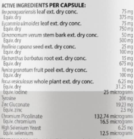 Thyroid Rx